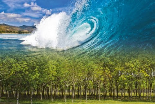 Surfen in Frankreich: Die Marke Söoruz arbeitet an nachhaltigem Surfmaterial