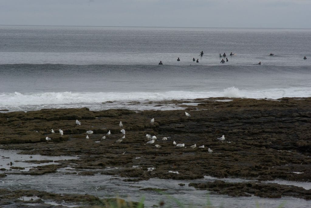 Roadtrip durch Irland: Surfer warten auf eine Welle in Easkey